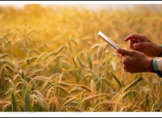 15 ઓગસ્ટથી ગુજરાતમાં Digital Crop Survey 2026નો પ્રારંભ, 95 લાખથી વધુ પ્લોટનો થશે સર્વે