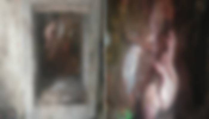 New Project (1)