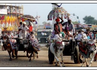 તરણેતર જવા તૈયાર છો? 14થી 17 સપ્ટેમ્બર સુધી યોજાશે ભવ્ય મેળો, છત્રીઓથી લઈને લોકનૃત્ય સુધી શું હશે ખાસ?