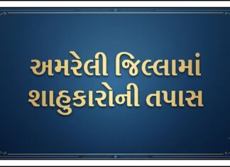 અમરેલીના શાહુકારો સાવધાન! ઓનલાઈન હિસાબ અને ઓડિટ રિપોર્ટ ફરજિયાત, નિયમ તોડનાર સામે થશે કાયદેસરની કાર્યવાહી